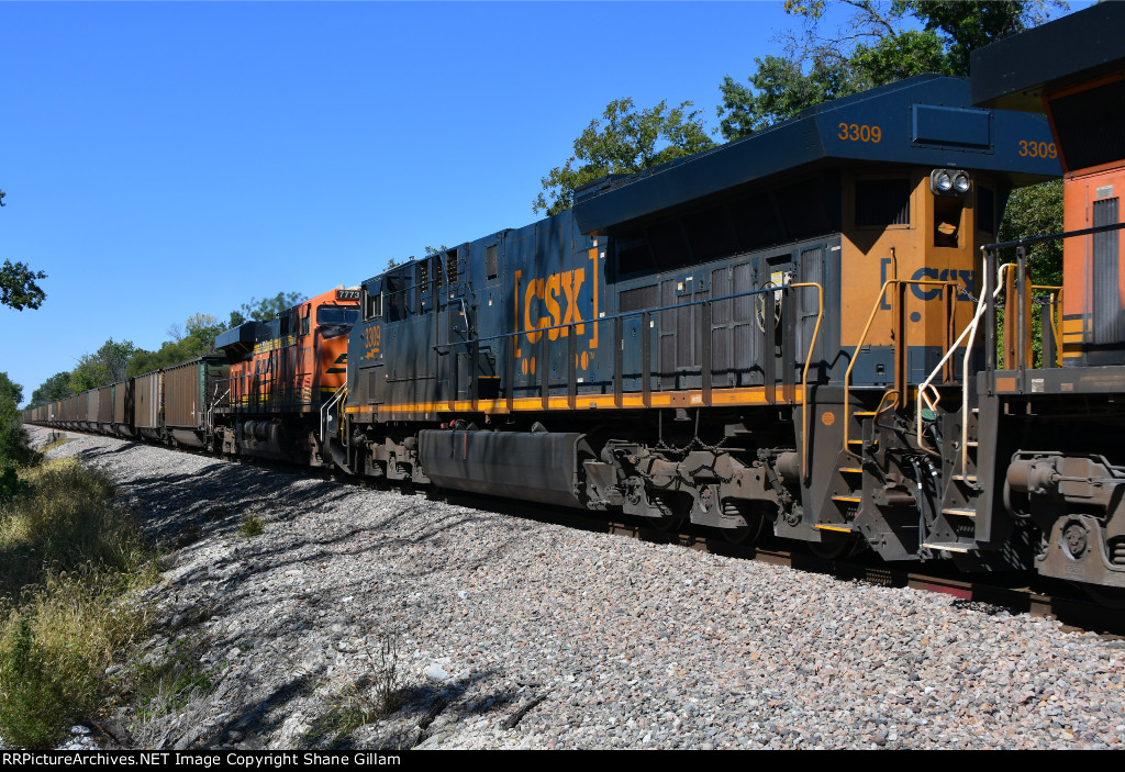 CSX 3309 Roster shot